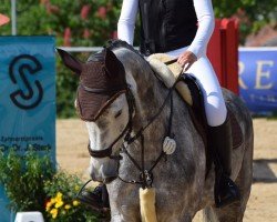 jumper Cool Clara 3 (Holsteiner, 2017, from Cool Man K)