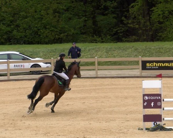 Reitturnier Tiefenhof/Opf. 2024