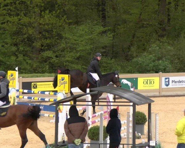 Reitturnier Tiefenhof/Opf. 2024
