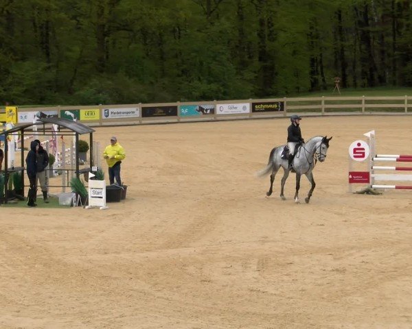 Reitturnier Tiefenhof/Opf. 2024