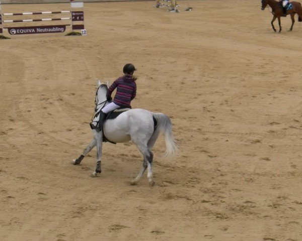 Reitturnier Tiefenhof/Opf. 2024