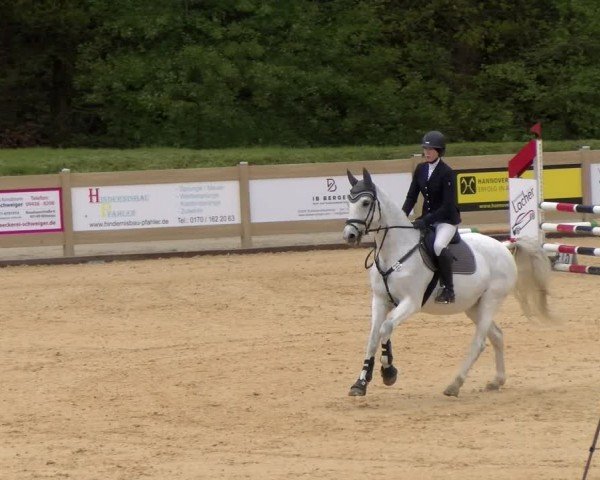 Reitturnier Tiefenhof/Opf. 2024