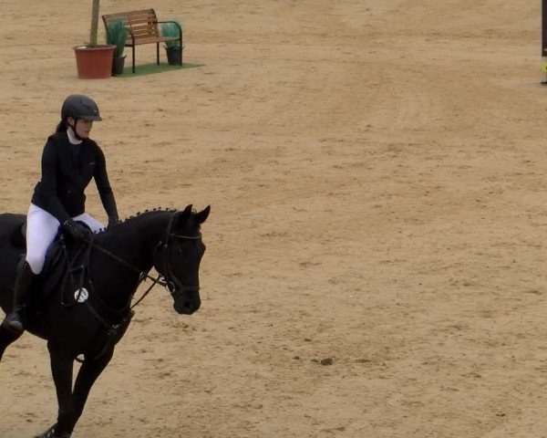 Reitturnier Tiefenhof/Opf. 2024
