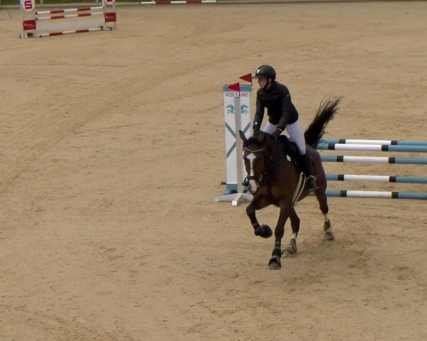 Reitturnier Tiefenhof/Opf. 2024