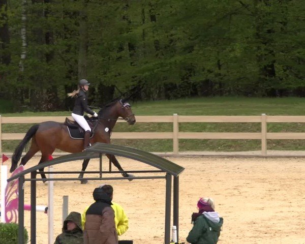 Reitturnier Tiefenhof/Opf. 2024