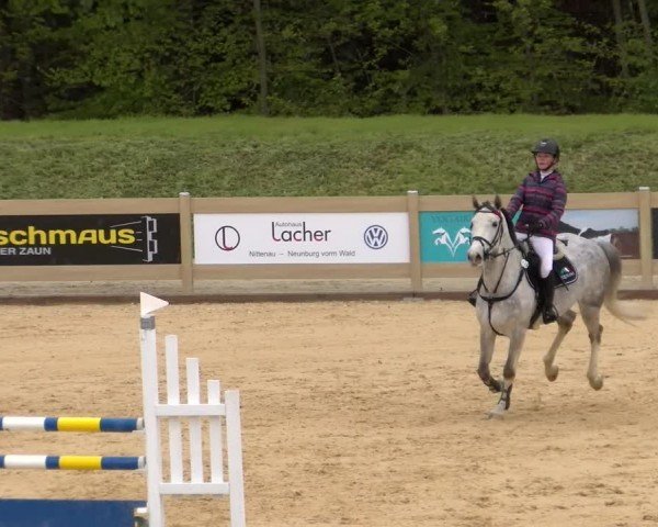 Reitturnier Tiefenhof/Opf. 2024