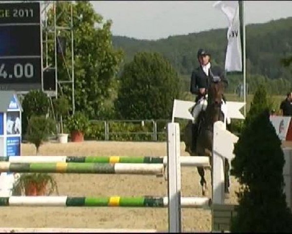 Vosswinkeler Reitertage CSN 2011