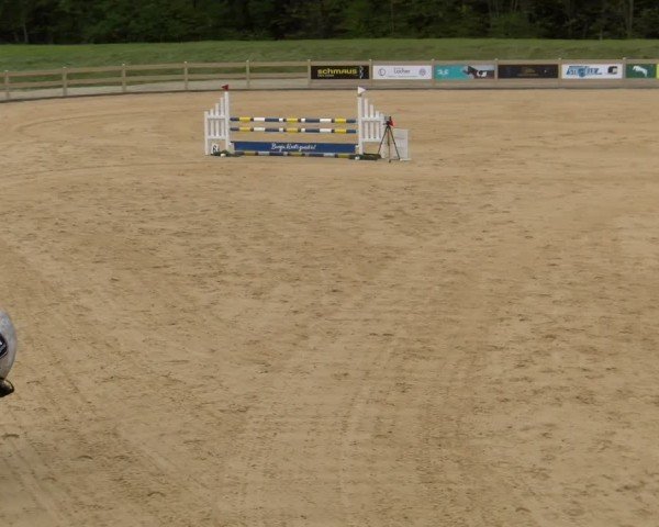 Reitturnier Tiefenhof/Opf. 2024