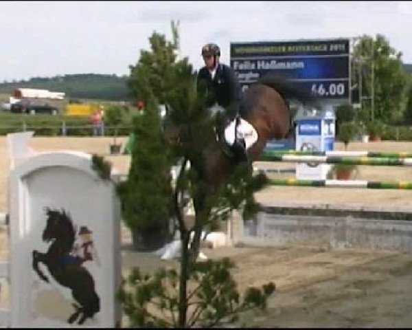 Vosswinkeler Reitertage CSN 2011