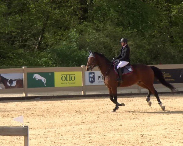Reitturnier Tiefenhof/Opf. 2024