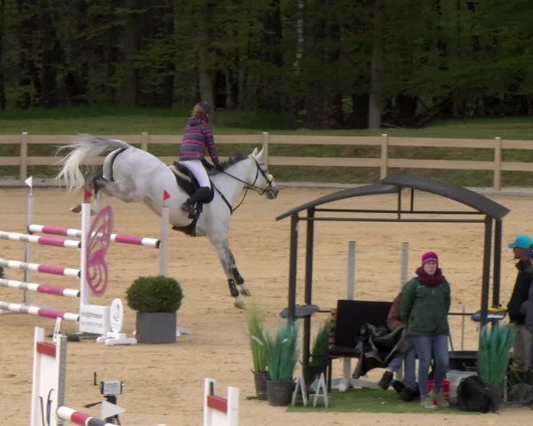 Reitturnier Tiefenhof/Opf. 2024