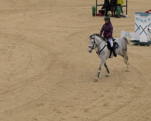 Reitturnier Tiefenhof/Opf. 2024