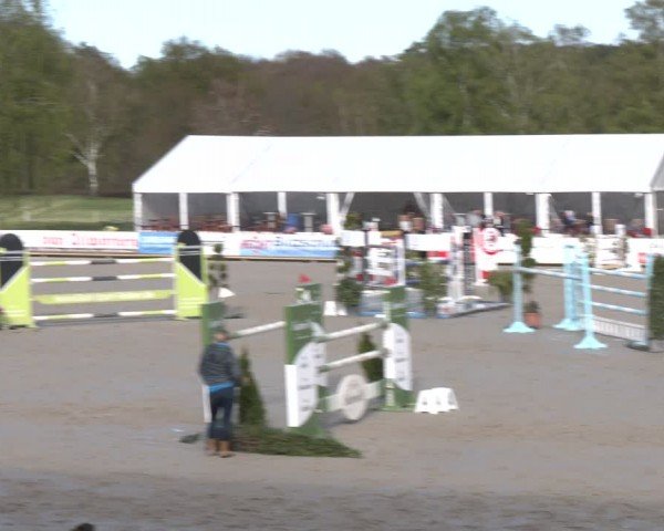 Reitturnier Westergellersen 2024