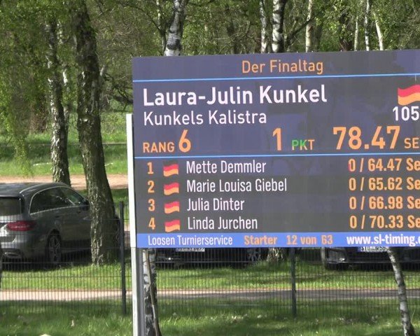 Reitturnier Westergellersen 2024