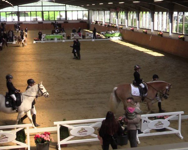 Lenklarer Reitertage Werne 2024