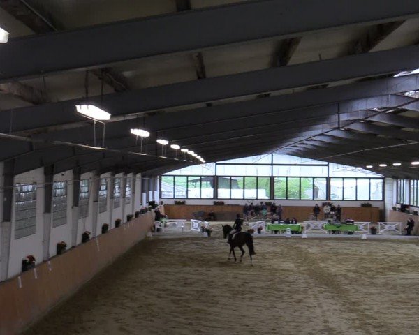 Reitturnier Werne-Lenklar 2024