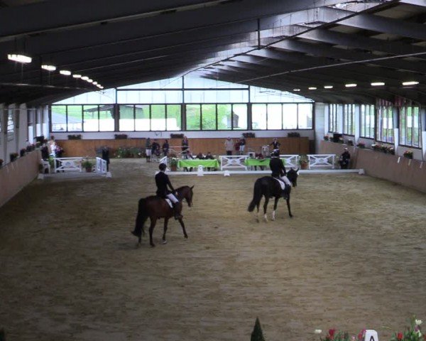 Reitturnier Werne-Lenklar 2024
