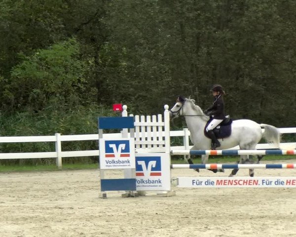 Reitturnier Isny-Rohrdorf 2021