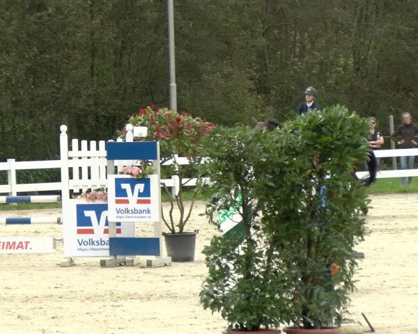 Reitturnier Isny-Rohrdorf 2021