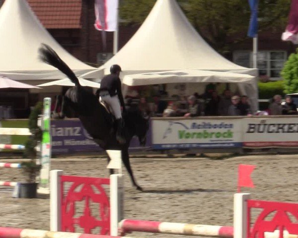 Reitturnier Werne-Lenklar 2024