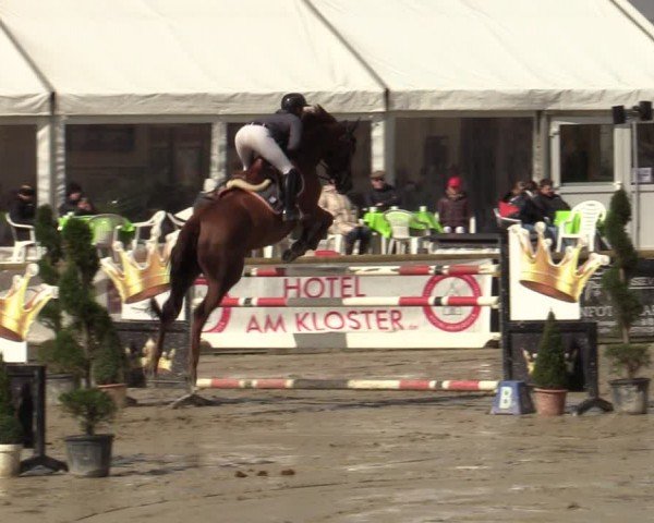Reitturnier Werne-Lenklar 2024
