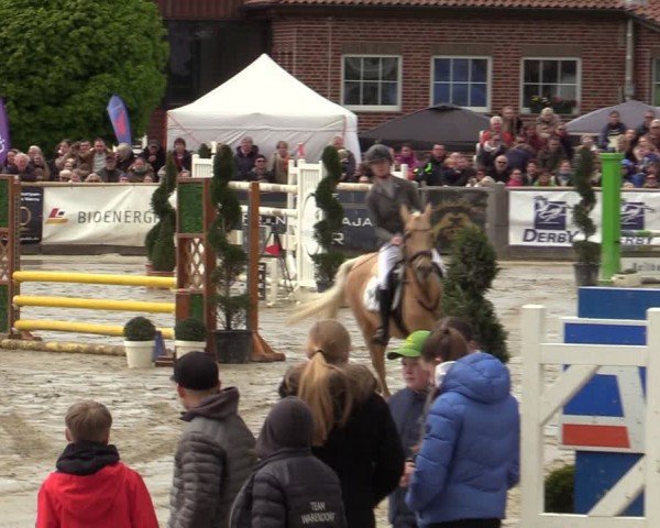 Lenklarer Reitertage Werne 2024