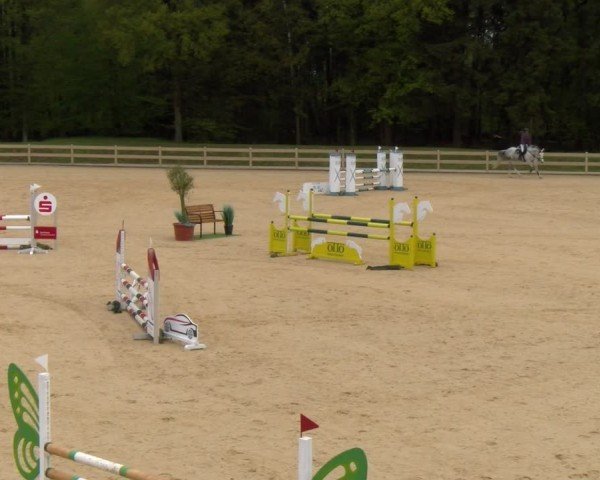 Reitturnier Tiefenhof/Opf. 2024