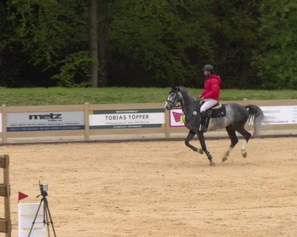 Reitturnier Tiefenhof/Opf. 2024