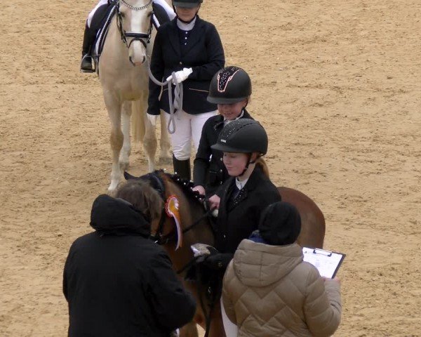 Reitturnier Tiefenhof/Opf. 2024