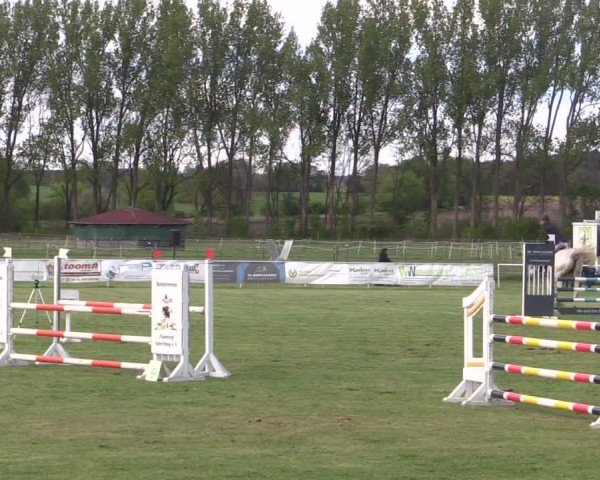 Reitturnier Jüterbog / Werder 2024