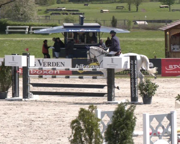 Reitturnier Westergellersen 2024