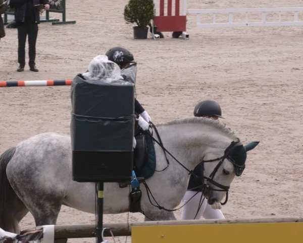 Reitturnier Tübingen 2024