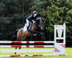jumper Ciao Bella 26 (Mecklenburg, 2015, from Clondyke 4)