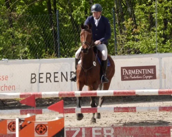 Reitturnier Neunkirchen-City 2024