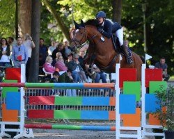 jumper Flora Capitol (Zangersheide riding horse, 2014, from Flipper d'Elle)