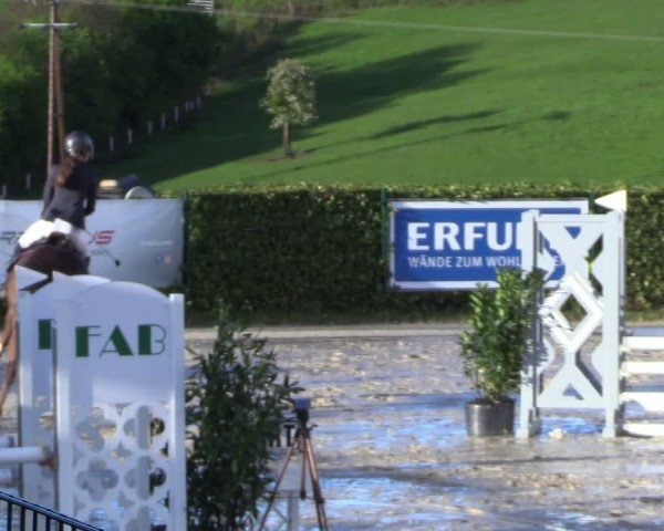 Reitturnier Lindlar-Süttenbach 2024