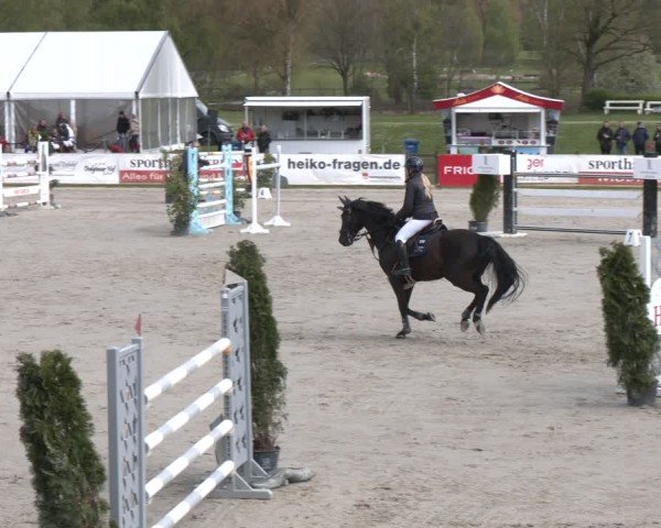 Reitturnier Westergellersen 2024