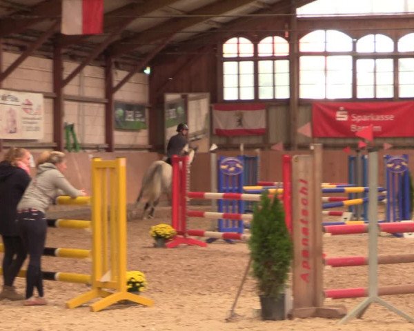 Reitturnier Elisenau 2021