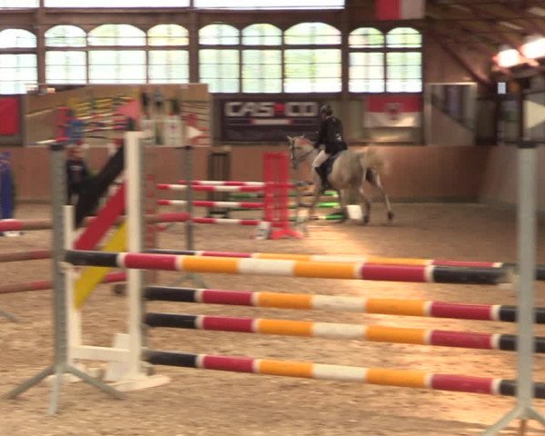 Reitturnier Elisenau 2021