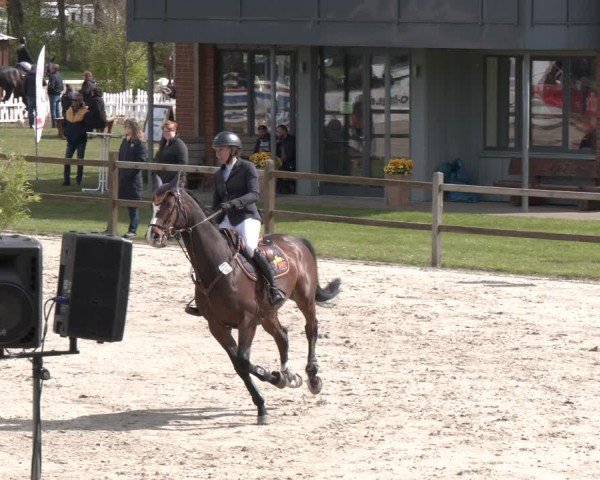 Reitturnier Westergellersen 2024