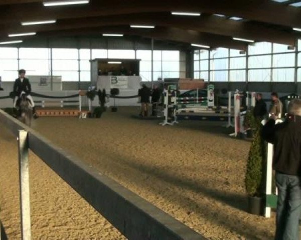 1. Hallen-Late-Entry Reitsportzentrum Gerd Könemann