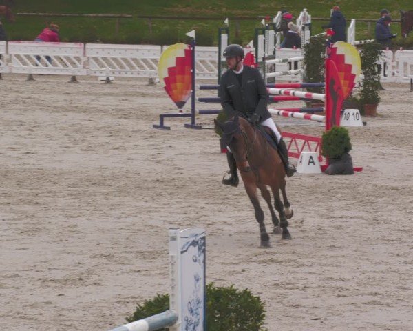 Reitturnier Tübingen 2024