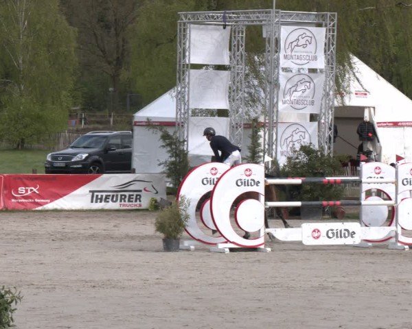 Reitturnier Westergellersen 2024