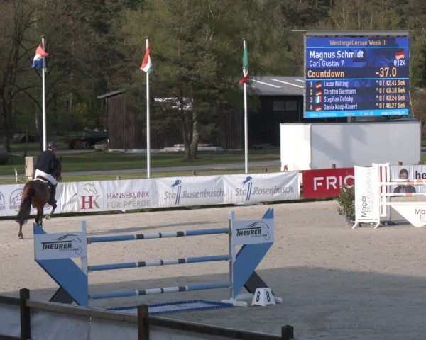Reitturnier Westergellersen 2024