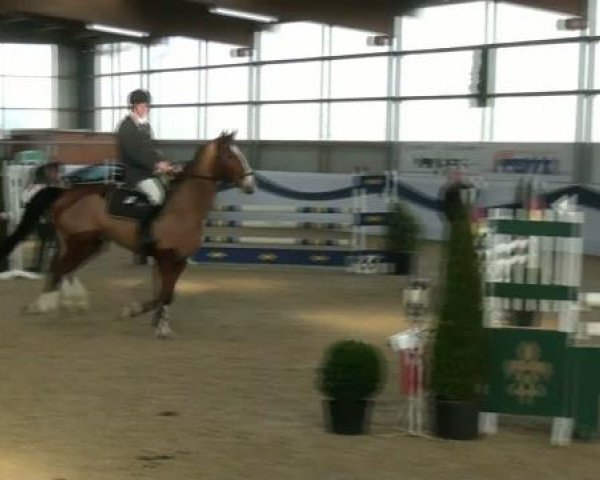 1. Hallen-Late-Entry Reitsportzentrum Gerd Könemann