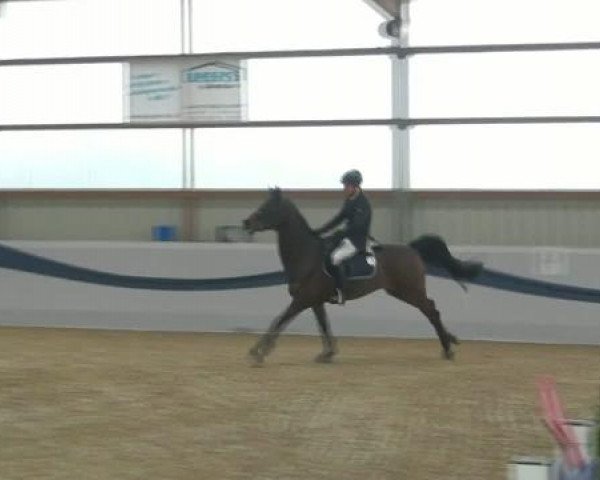 1. Hallen-Late-Entry Reitsportzentrum Gerd Könemann