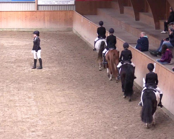 Reitturnier Leck 2024