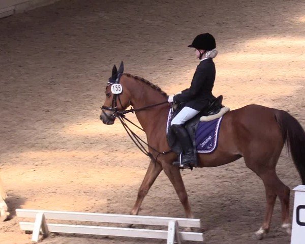 Reitturnier Leck 2024