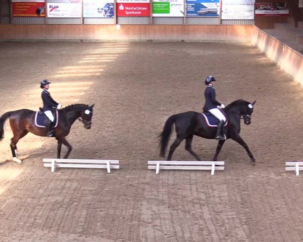 Reitturnier Leck 2024