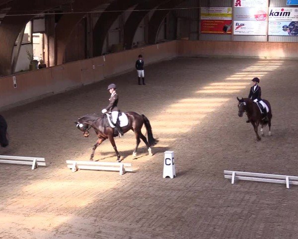 Reitturnier Leck 2024